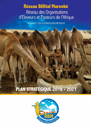 Plan stratégique 2016 - 2021