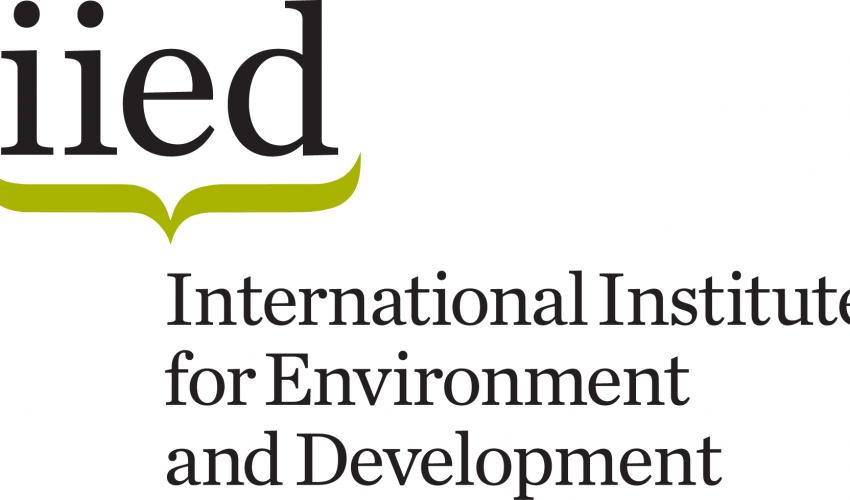 iied full logo